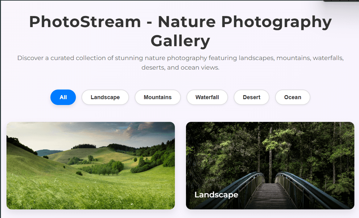 Photo Gallery - This project is a modern photo gallery application designed to showcase images in a visually appeali...